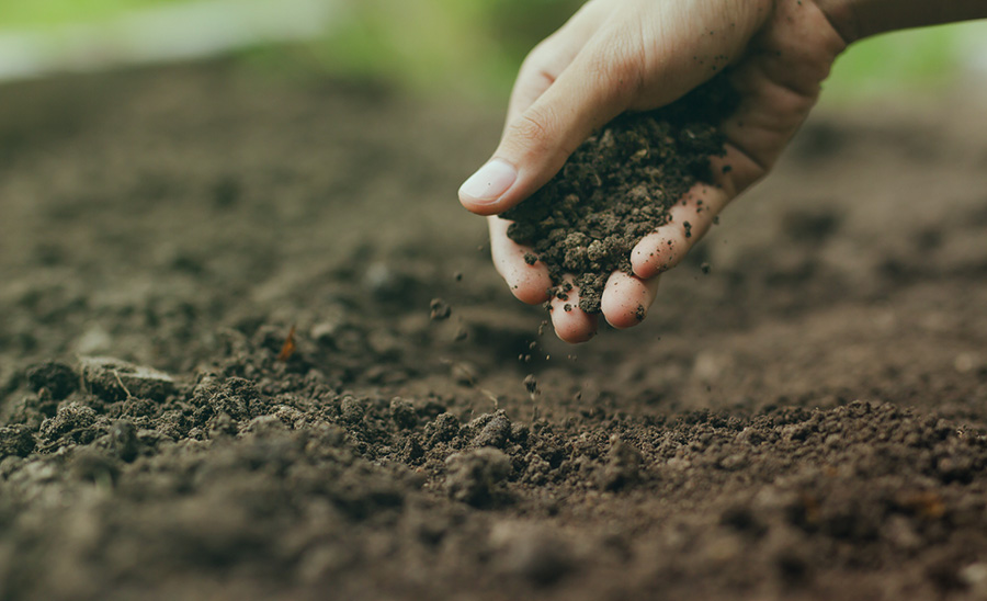 hand-soil-farming